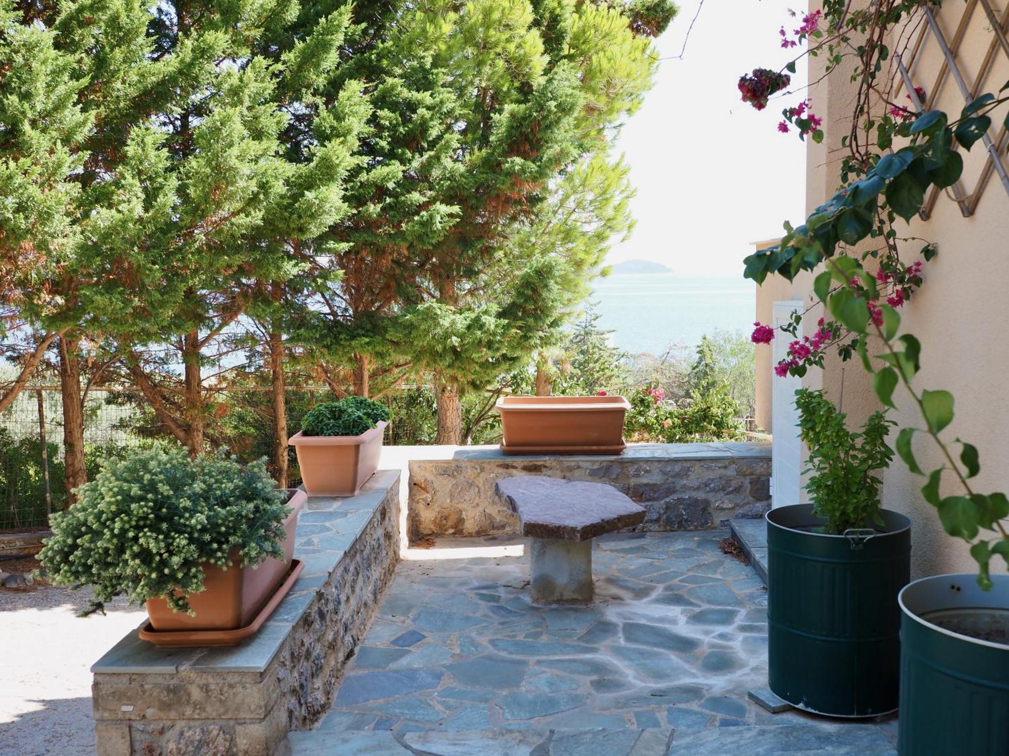 Apartment Iliopetro *