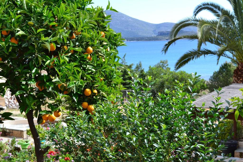Iliopetro Monemvasia