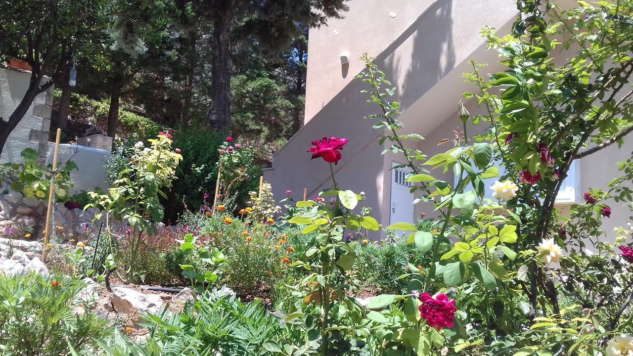 Iliopetro Apartment *